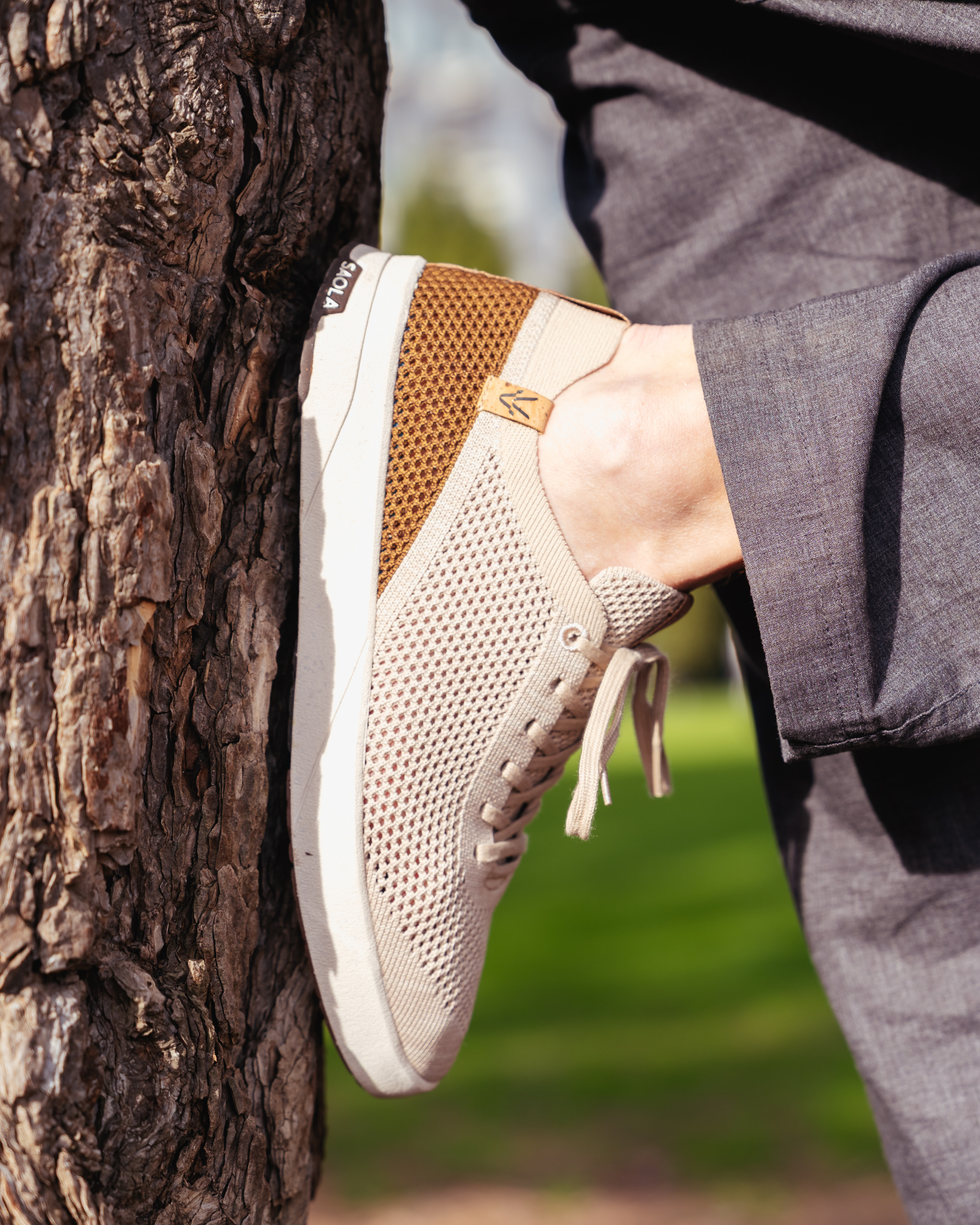 Ezo M Cashew - SAOLA EUROPE © 2024